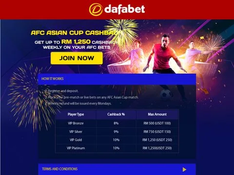 Asiancup website preview